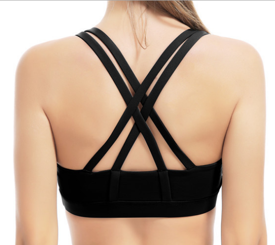 Athletic Sports Bra Performance Sports for Gym Yoga Exercise Running Seamless Padded Sports Bra Au+hentic Sport Spot