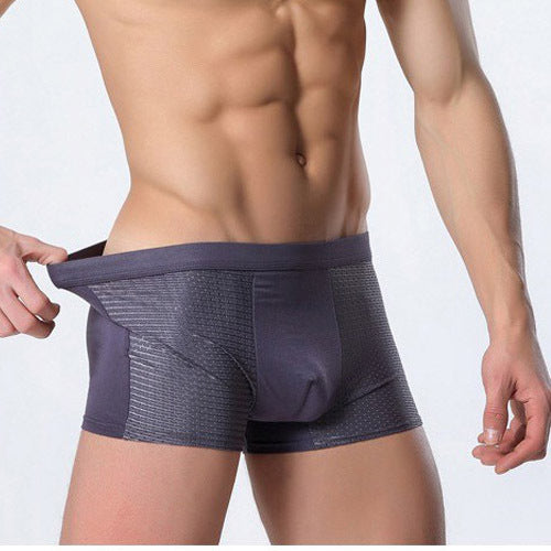 Men's Mesh Silk Boxers Men's Underwear Au+hentic Sport Spot