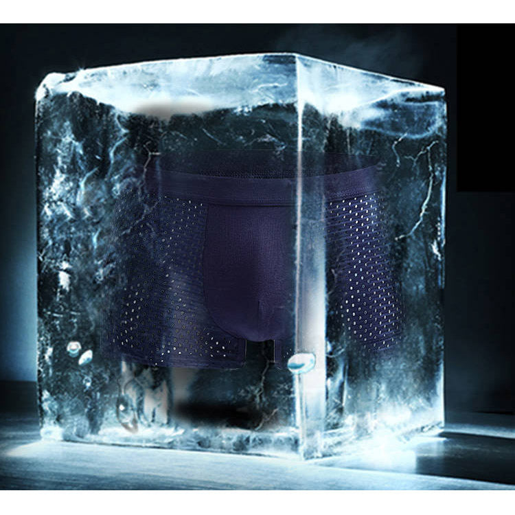 Men's Mesh Silk Boxers Men's Underwear Au+hentic Sport Spot