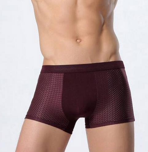 Men's Mesh Silk Boxers Men's Underwear Au+hentic Sport Spot